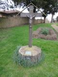 image number 7